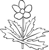 painted flower with sharp leaves