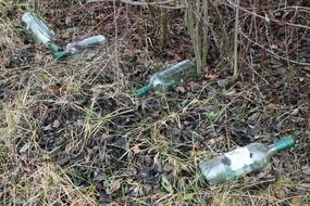 empty bottles on the side of the road