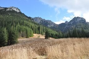 autumn in the tatras