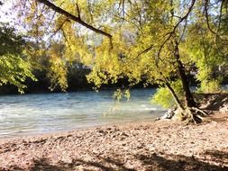 extraordinarily beautiful beach river