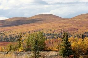 Scenic mountain view in autumn time