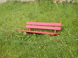 red bench in a green meadow