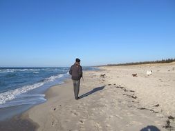 landscape of a man walks along the shore of the Baltic Sea