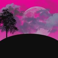 Large moon at night sky