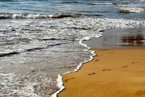 footprints in the sand on a tropical beach