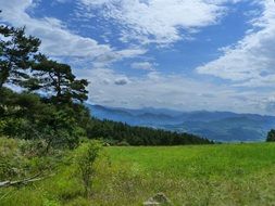 Alps fresh landscapes
