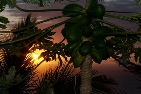Reunion Island, beautiful sunset