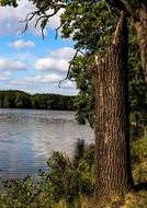 strain pond