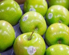 Colorful delicious fresh apples with stickers