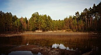 lake in the middle of the forest