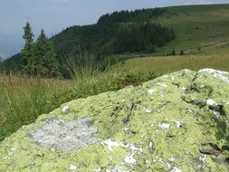 Cliff in Transylvania