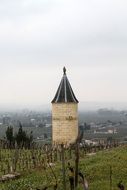 landscape of tower on the background of vineyards in France