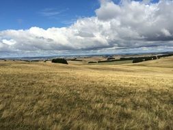view of farmland