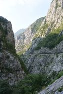 Tara river in the mountains of Montenegro