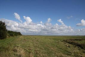 landscape of fields in summer