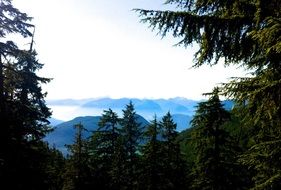 panorama of mountains and woods