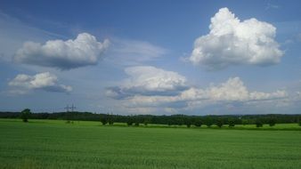 white clouds over green summer field