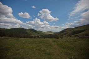 meadow in mountains in summer