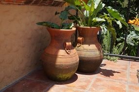 Rustic pots