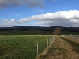 Beautiful rural landscape with the green fields in Bakewell, Derbyshire, England