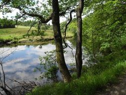 calm water in the river