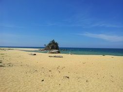 sandy beach on the tropical coast