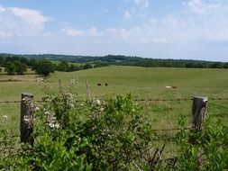 green field in countryside