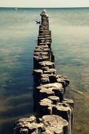 wooden wall cutter in the pond