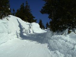 landscape of winter road in the forest in December