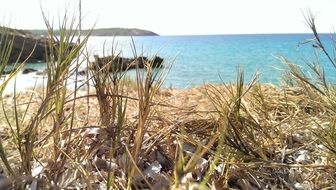 dry grass on the coast of Sardinia