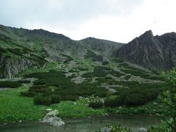 picturesque landscape of the green Tatra mountains