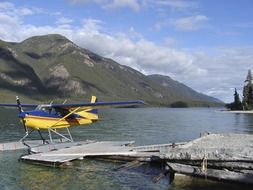 yellow and blue plane floating on water