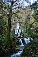 waterfall in a park in cola de caballo