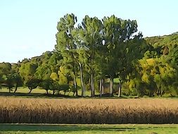 summer rural landscape in paint effect, digital art