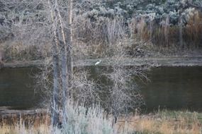 panorama of the river in Nevada