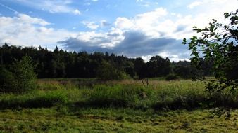 tranquil summer landscape, czech, south bohemia