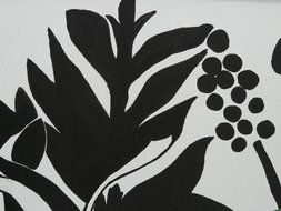 plant as abstract black and white drawing