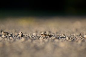 gray land closeup