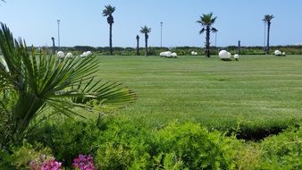 morocco green nature