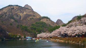 Spring nature in Jinan