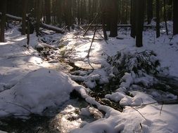 water stream in winter forest