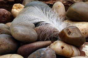 white feather on the stones close-up