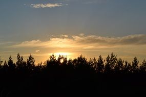 sunset over the trees on the horizon