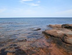 Landscape of the shore in summer
