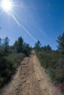 dirt road in nature on a bright sunny day