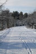 Landscape with the snowy road