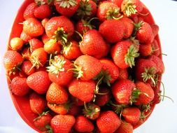 ripe strawberries on the red plate