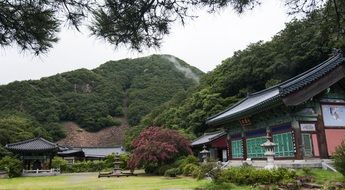 tiger temple