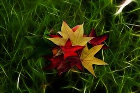 bouquet of autumn leaves on green grass