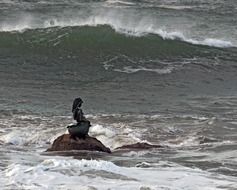 siren statue in sea